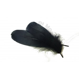 Goose feathers