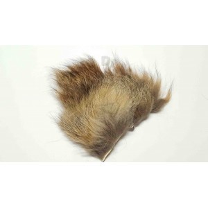 Red Fox fur