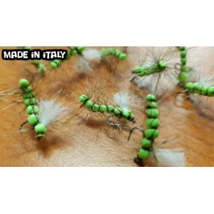 Caterpillar fly green -16