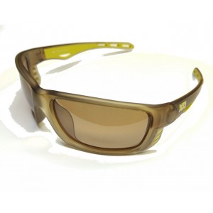Photochromic polarized glasses XA 7009