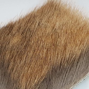 Mountain deer hair summer season - chamois