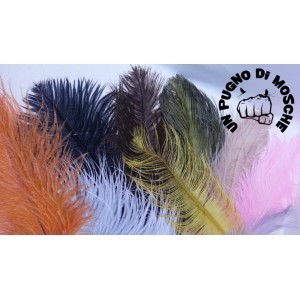 Ostrich feathers