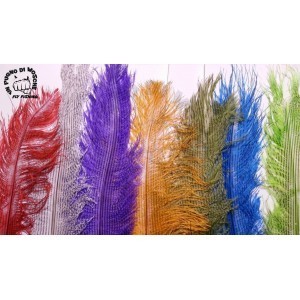 Barred ostrich feathers