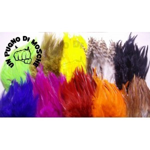 Saddle Hackle